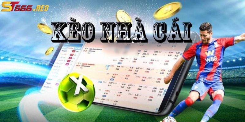 Giới thiệu tỷ lệ kèo nhà cái ST666