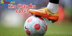 Giới thiệu kèo châu Âu tại ST666