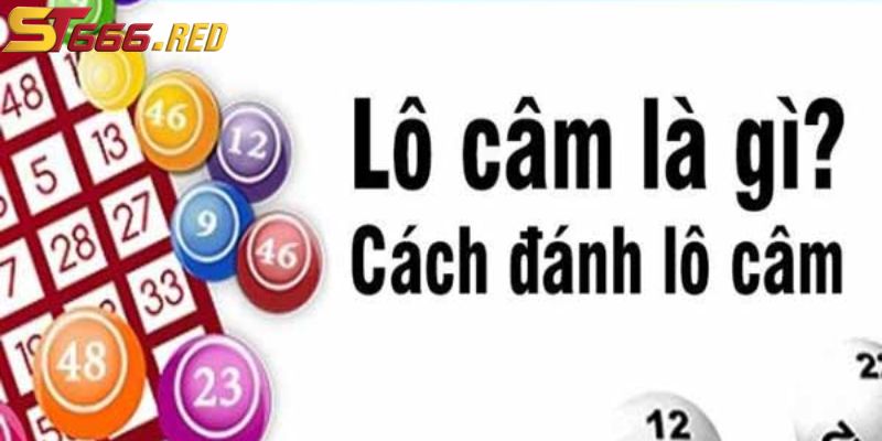 Giới thiệu về lô câm tại ST666