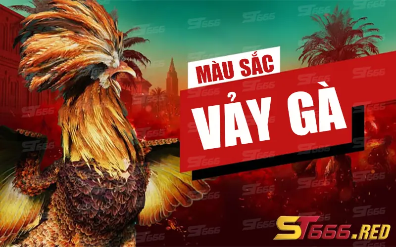 Xem màu sắc vảy gà