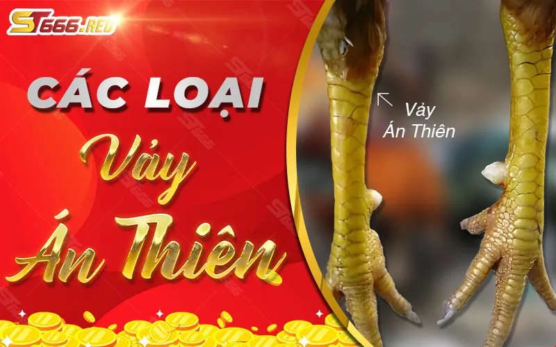 Các loại vảy án thiên