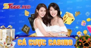 Cá cược casino