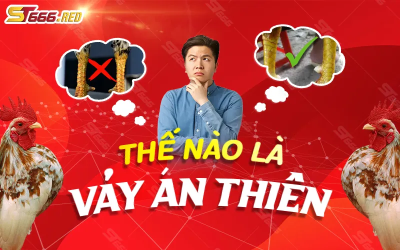 Vảy án thiên là gì?