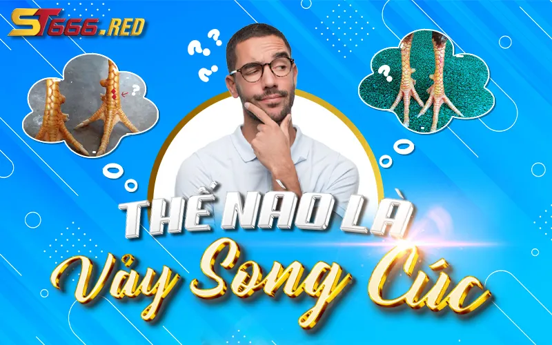 Vảy song cúc là gì?