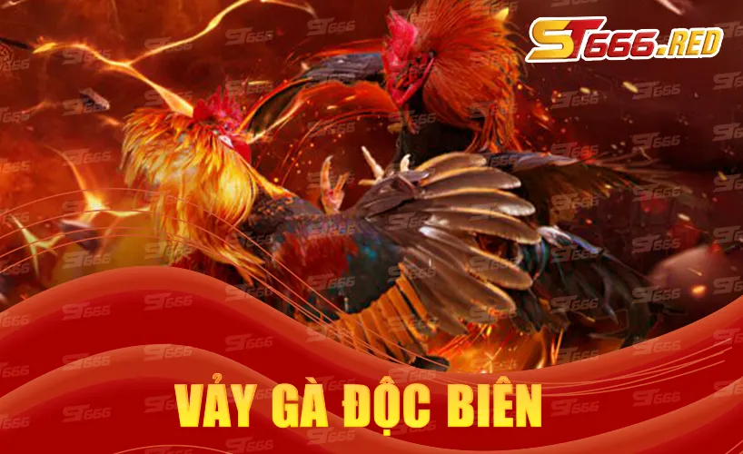 Vảy gà độc biên