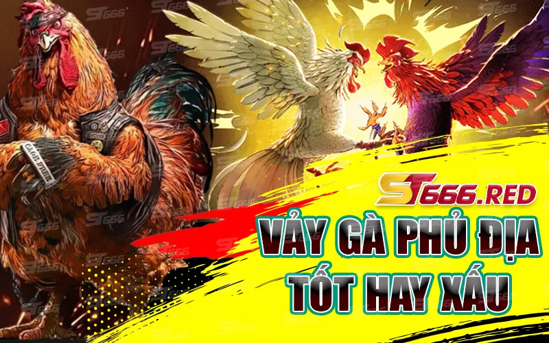 Vảy gà phủ địa tốt hay xấu