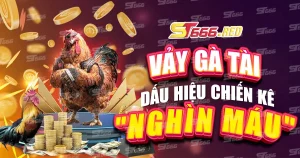 Vảy gà tài